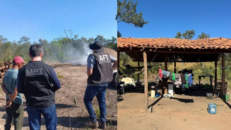Trabalhadores são resgatados de trabalho escravo em carvoaria no Piauí.