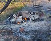 Carro capota, pega fogo e causa morte de adolescente de 16 anos na BR-135. (Foto: Divulgação/Polícia Militar