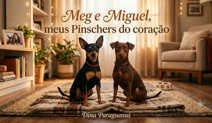 Meg e Miguel, meus Pinschers do coração Meg e Miguel, meus Pinschers do coração