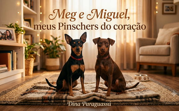 Meg e Miguel, meus Pinschers do coração