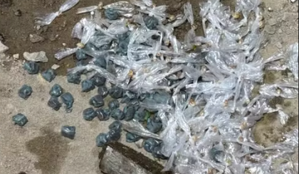 Operação no Piauí captura suspeitos e apreende drogas escondidas em fossa