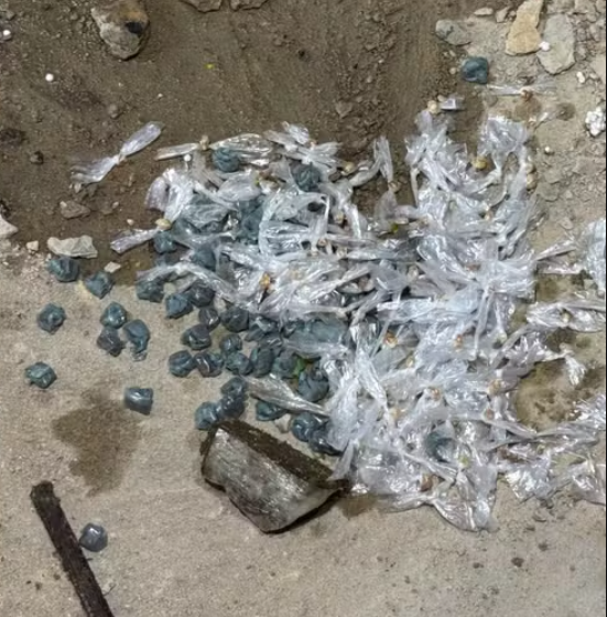Operação no Piauí captura suspeitos e apreende drogas escondidas em fossa.