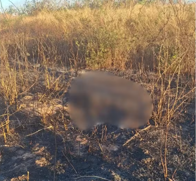 Ossada é achada por bombeiros durante combate a incêndio.