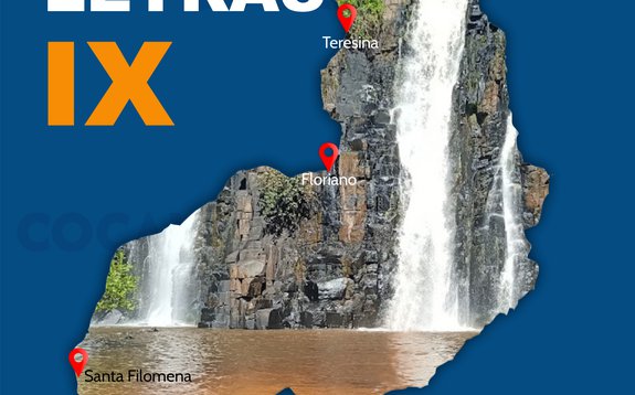 Coletânea Piauí em Letras IX