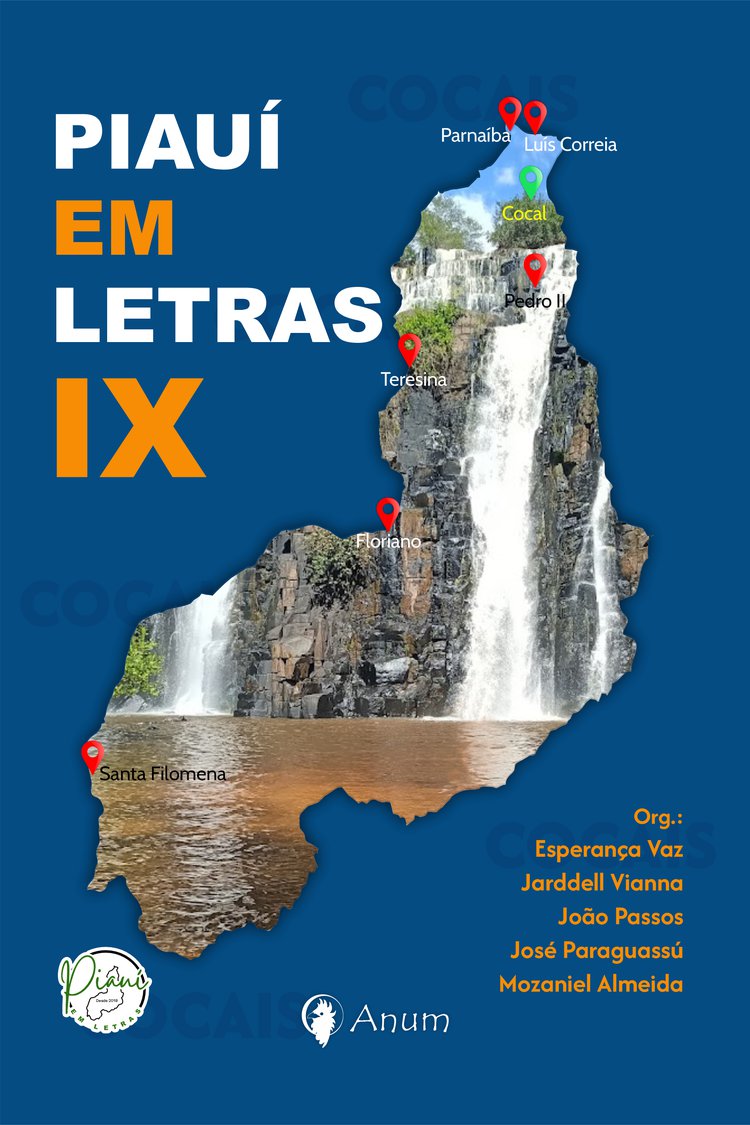 PIAUÍ EM LETRAS IX