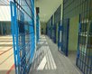 Presídio no Piauí (Foto: Sejus