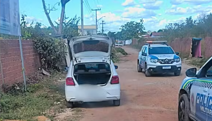 Roubo de carro em Teresina termina com ataque de abelhas. (Foto: Reprodução