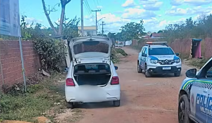 Roubo de carro em Teresina termina com ataque de abelhas