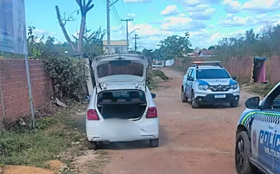 Roubo de carro em Teresina termina com ataque de abelhas