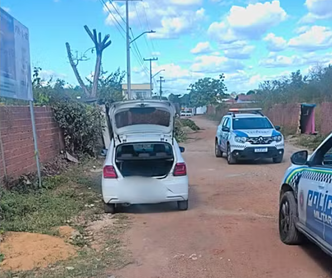 Roubo de carro em Teresina termina com ataque de abelhas.