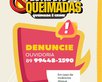 Secretaria de Meio Ambiente de Floriano intensifica ações contra queimadas e reforça projetos de sustentabilidade. (Foto: Divulgação/Prefeitura de Floriano