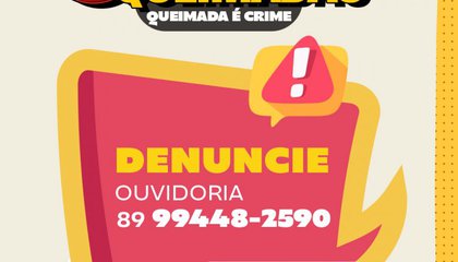Secretaria de Meio Ambiente de Floriano intensifica ações contra queimadas e reforça projetos de sustentabilidade. (Foto: Divulgação/Prefeitura de Floriano