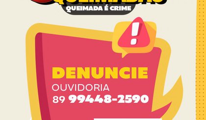Floriano intensifica ações contra queimadas e reforça projetos sustentáveis Floriano intensifica ações contra queimadas e reforça projetos sustentáveis